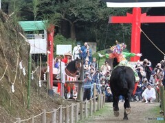的を射る