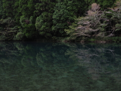 午後の水鏡