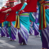 鮮・踊・祭
