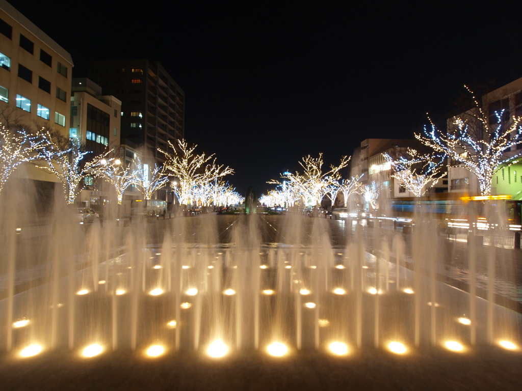 イルミネーション2010