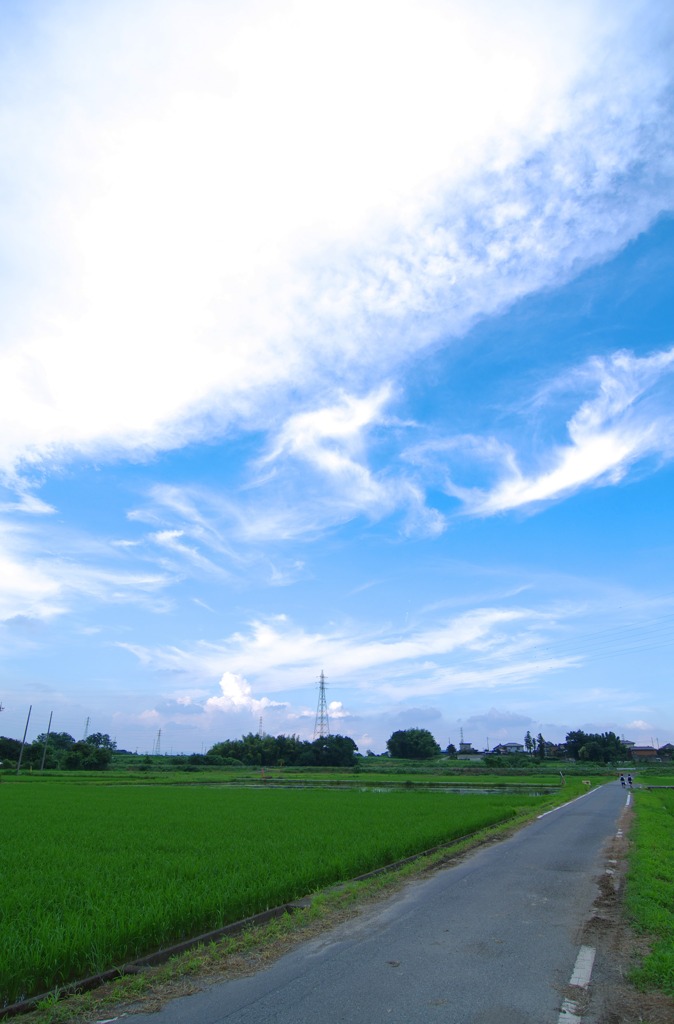 夏のはじまり