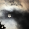 -名月やながれる雲も足早に-