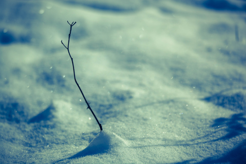 -雪影-