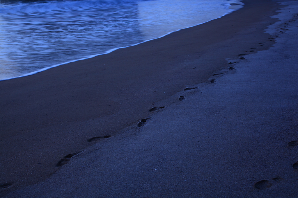 -砂に残った足跡Ⅱ-