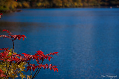 -Lake Sukawa 紅葉-
