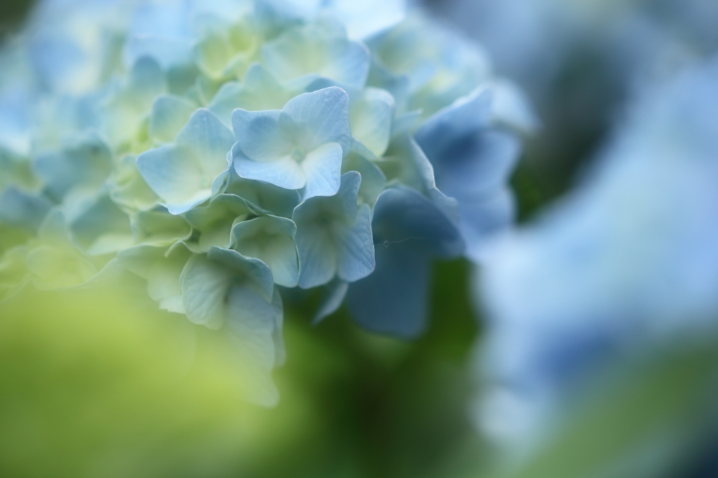 -序-