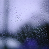 -purple rain-