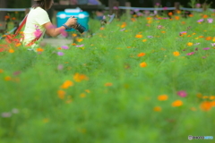 -勝手に撮ってごめんなさい-