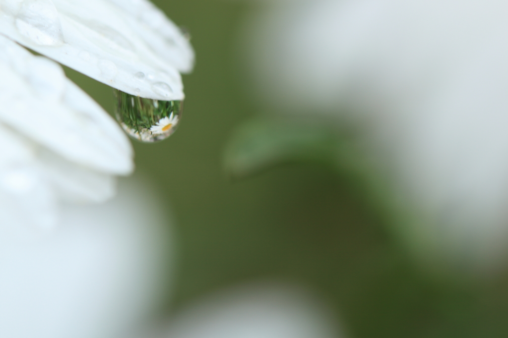 -雨-