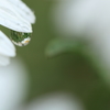 -雨-