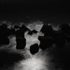 -Tetrapod-