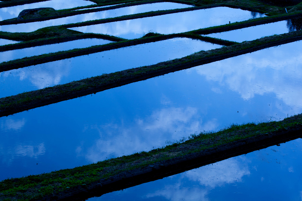 -Reflection-