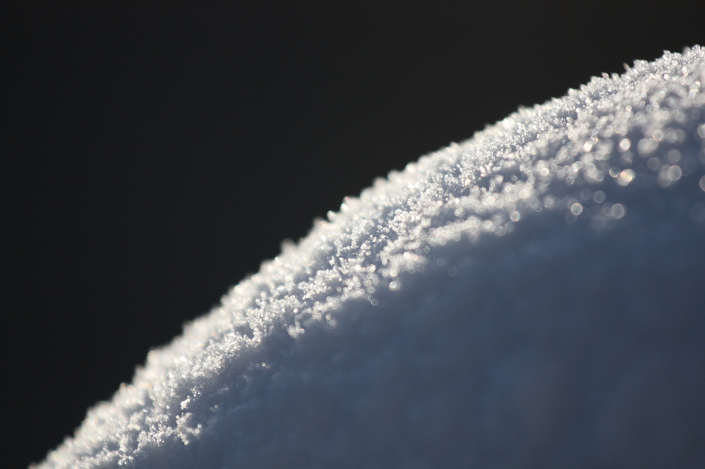 降り積もった雪