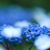 -Power of Blue-