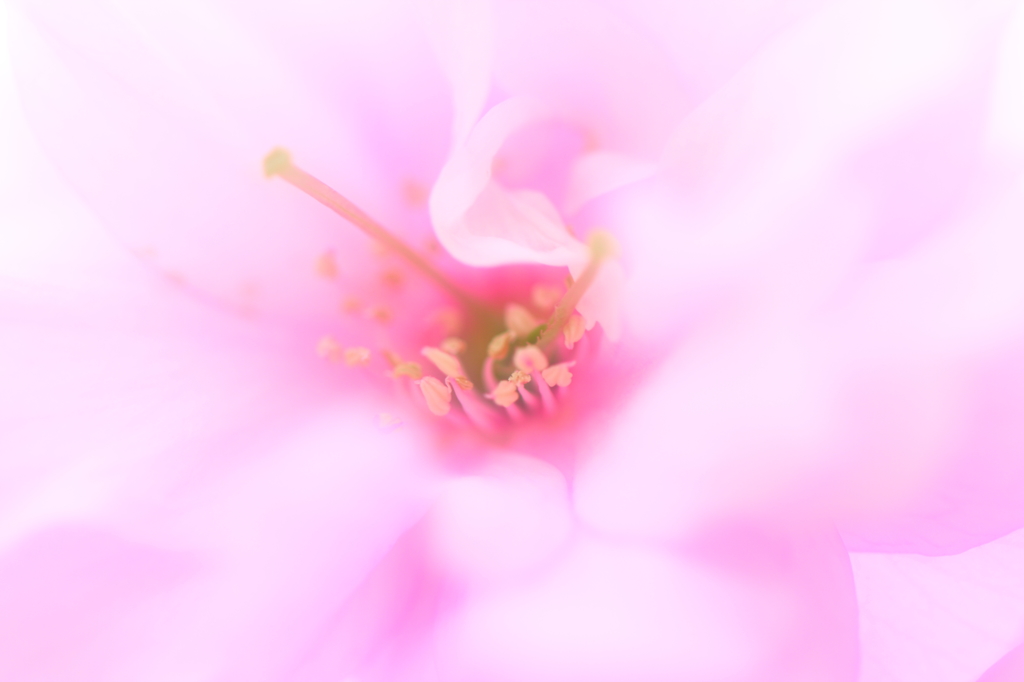 く・ち・づ・け