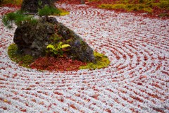 -雲外天地の庭-