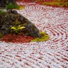 -雲外天地の庭-