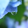 -Drop-