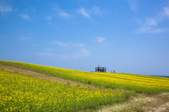 -風薫る五月の空・・・-