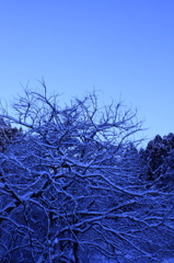 雪景②