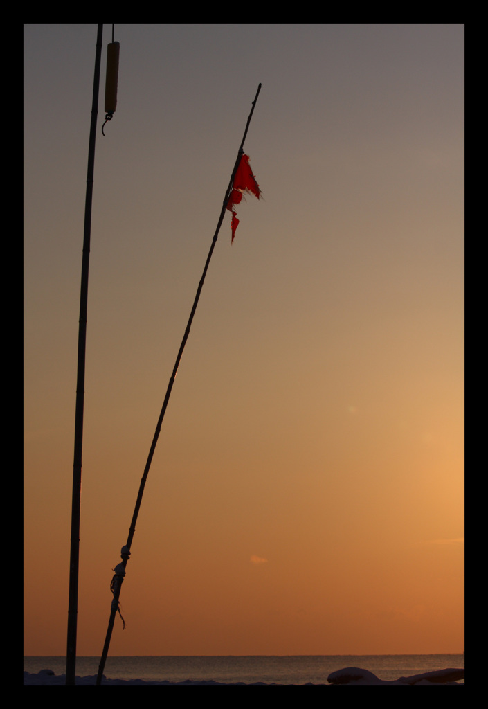 -Flag!!-