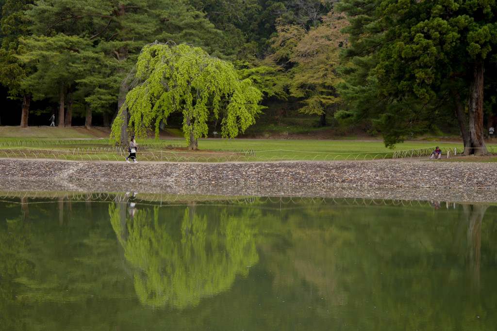 -浄土庭園-