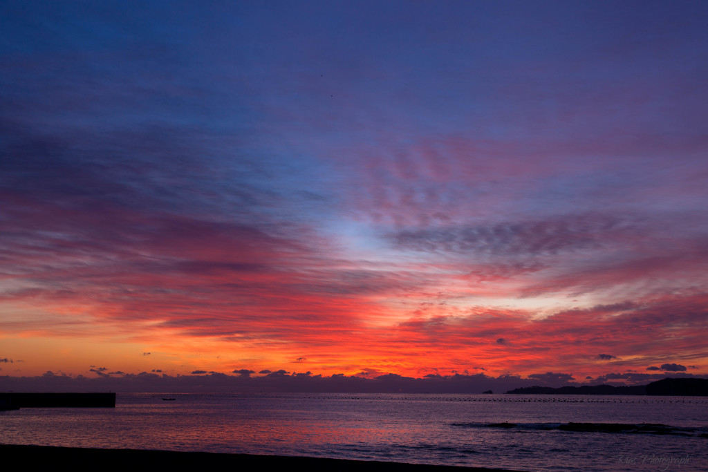 -Morning Glow-