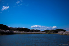 -桜の季節 3rd-
