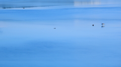-水色散歩-