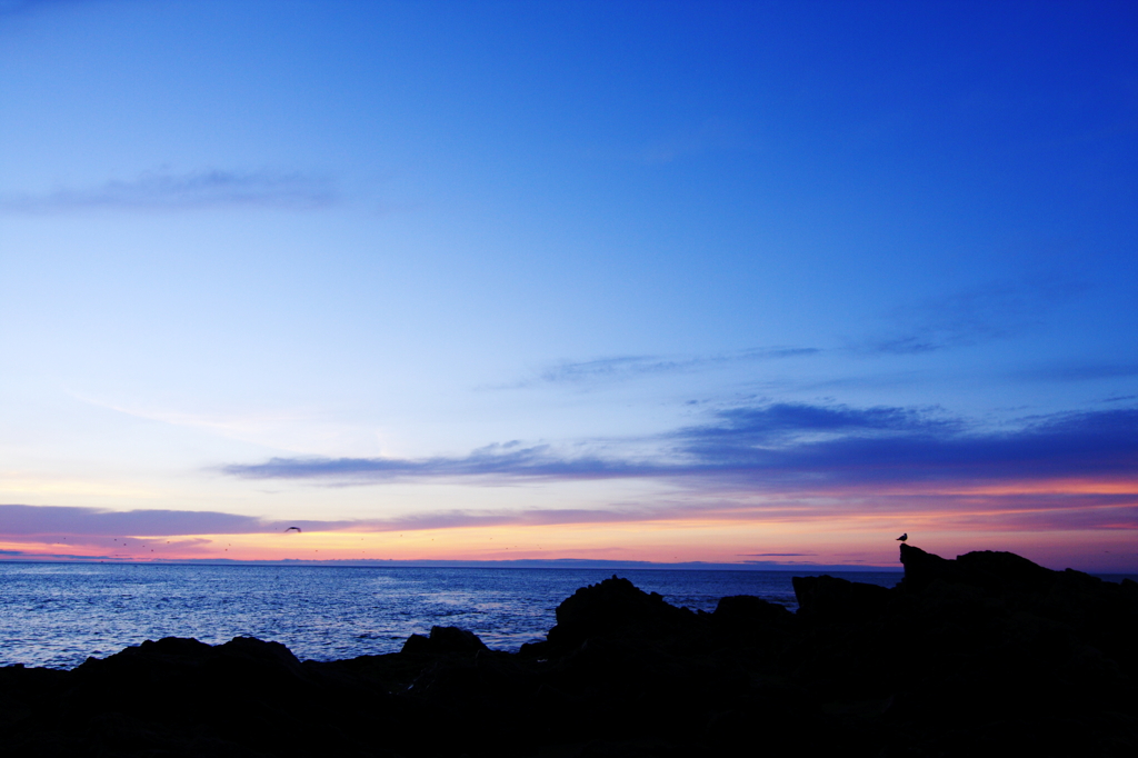 Morning landscape