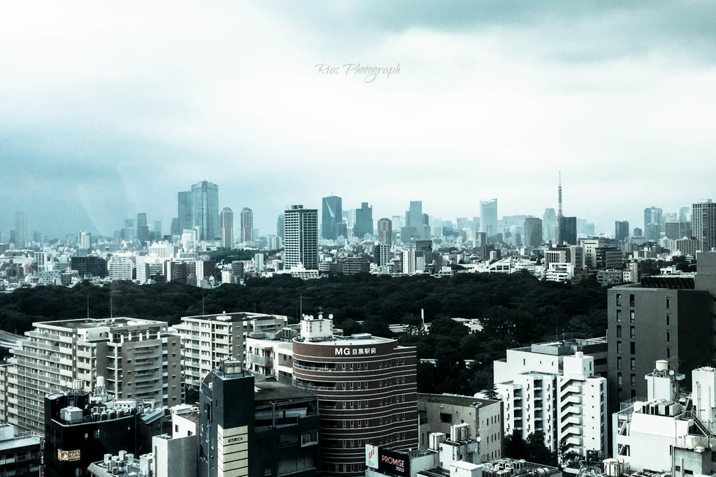 -Tokyo-