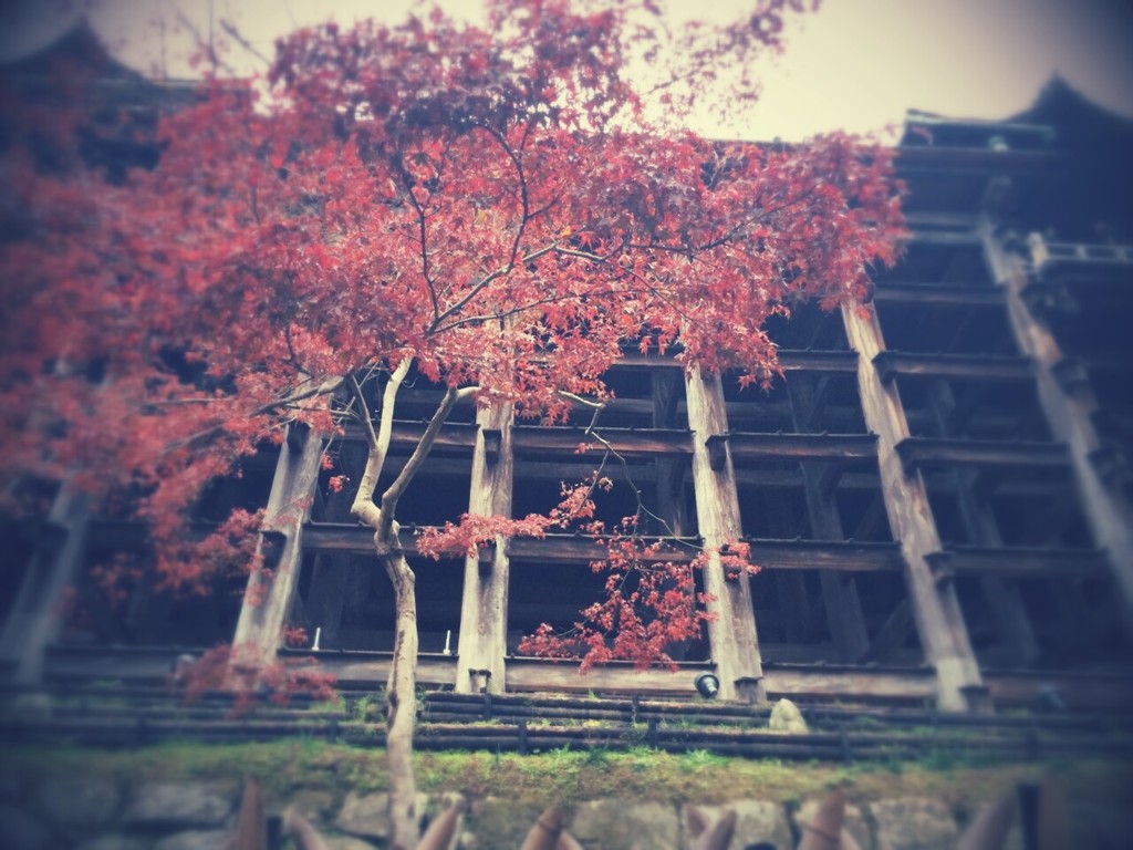 -清水の舞台-