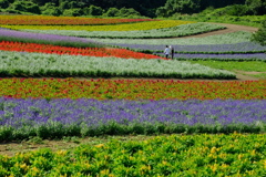 -夏の終わりに-