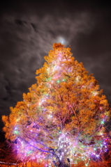 -Tree-