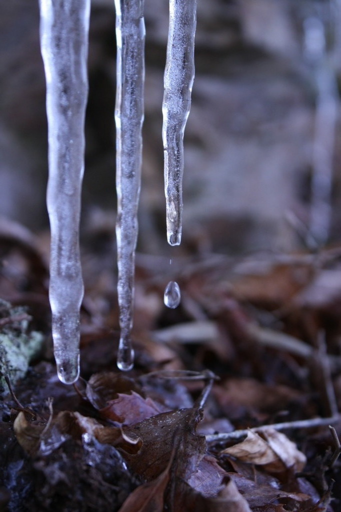 春の気吹