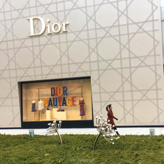 -Dior-