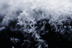 Snowy crystals