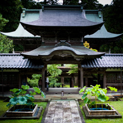 -永平寺 中雀門-