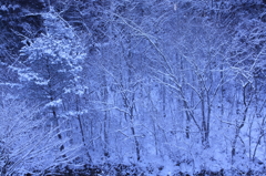 雪景③