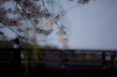 -心地よいまどろみ-