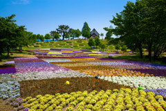 -高原の花園-