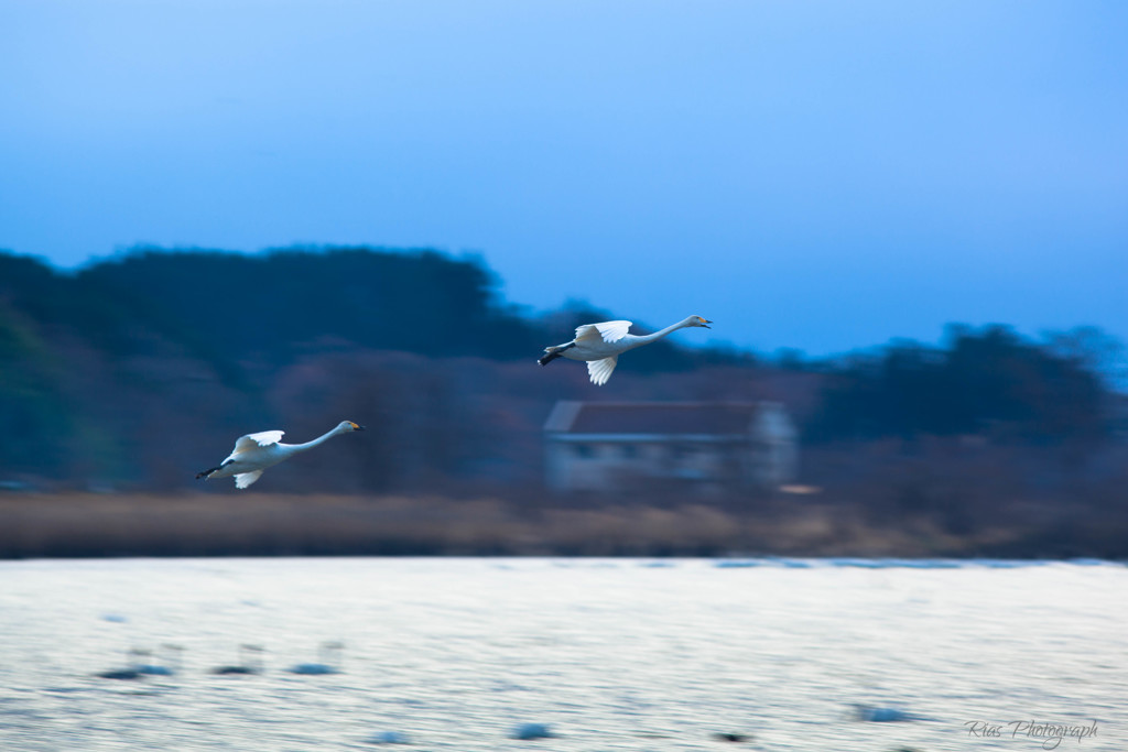 -Final approach‼-
