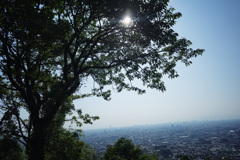 DSC00622
