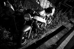 DSC02061