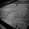 DSC06192