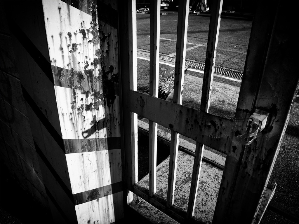 リアル東大阪2009－9#5