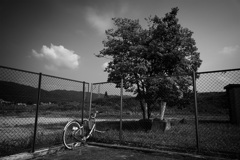 DSC01583