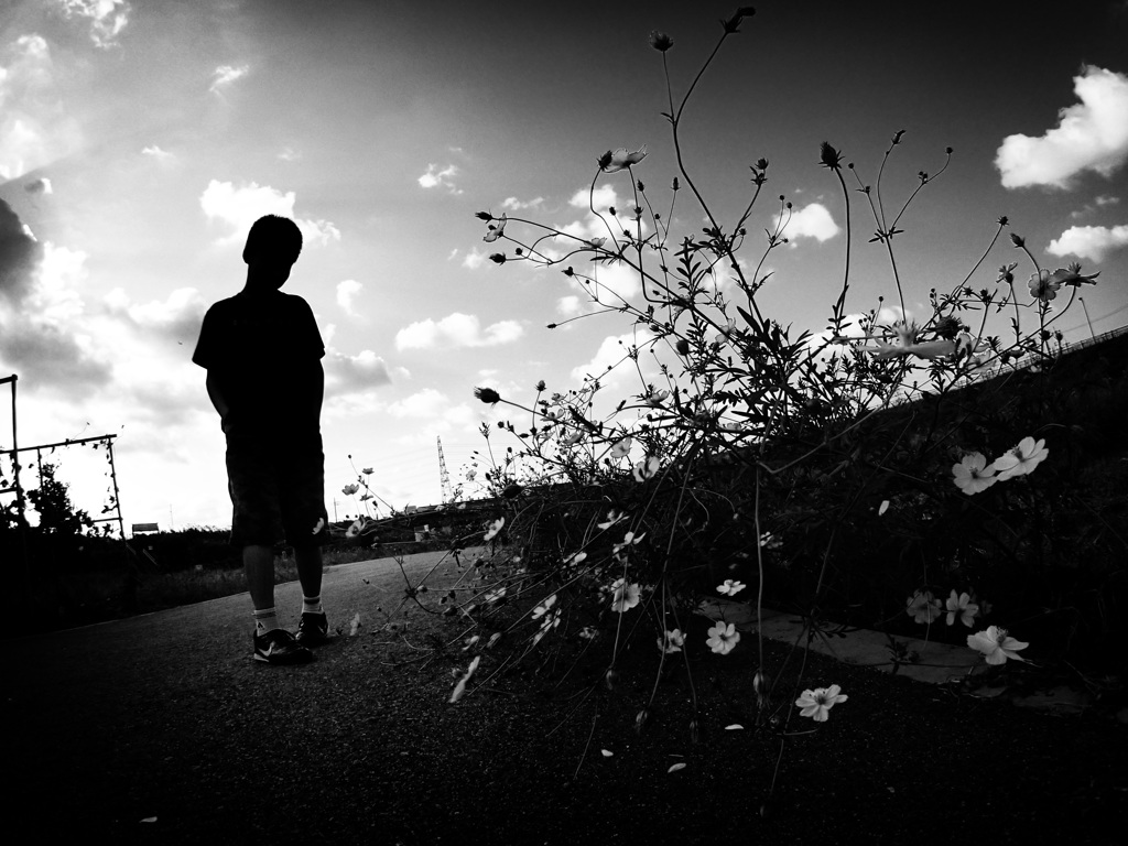 The walk of autumn #1