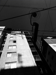 IMG_0142