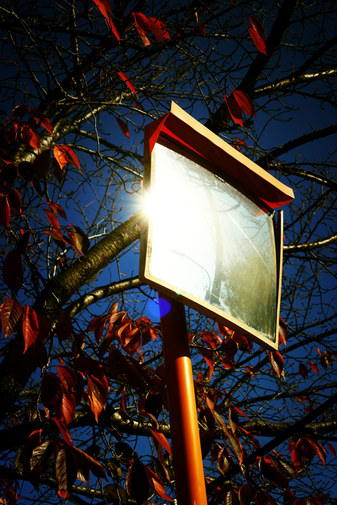 DSC05457